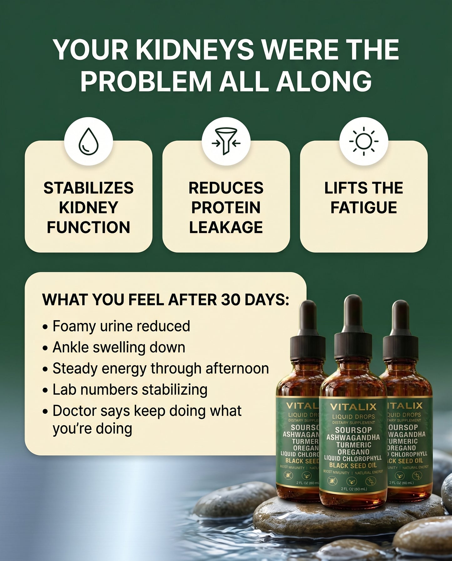 Vitalix - Soursop Liquid Complex - Natural Herbal Kidney Detox