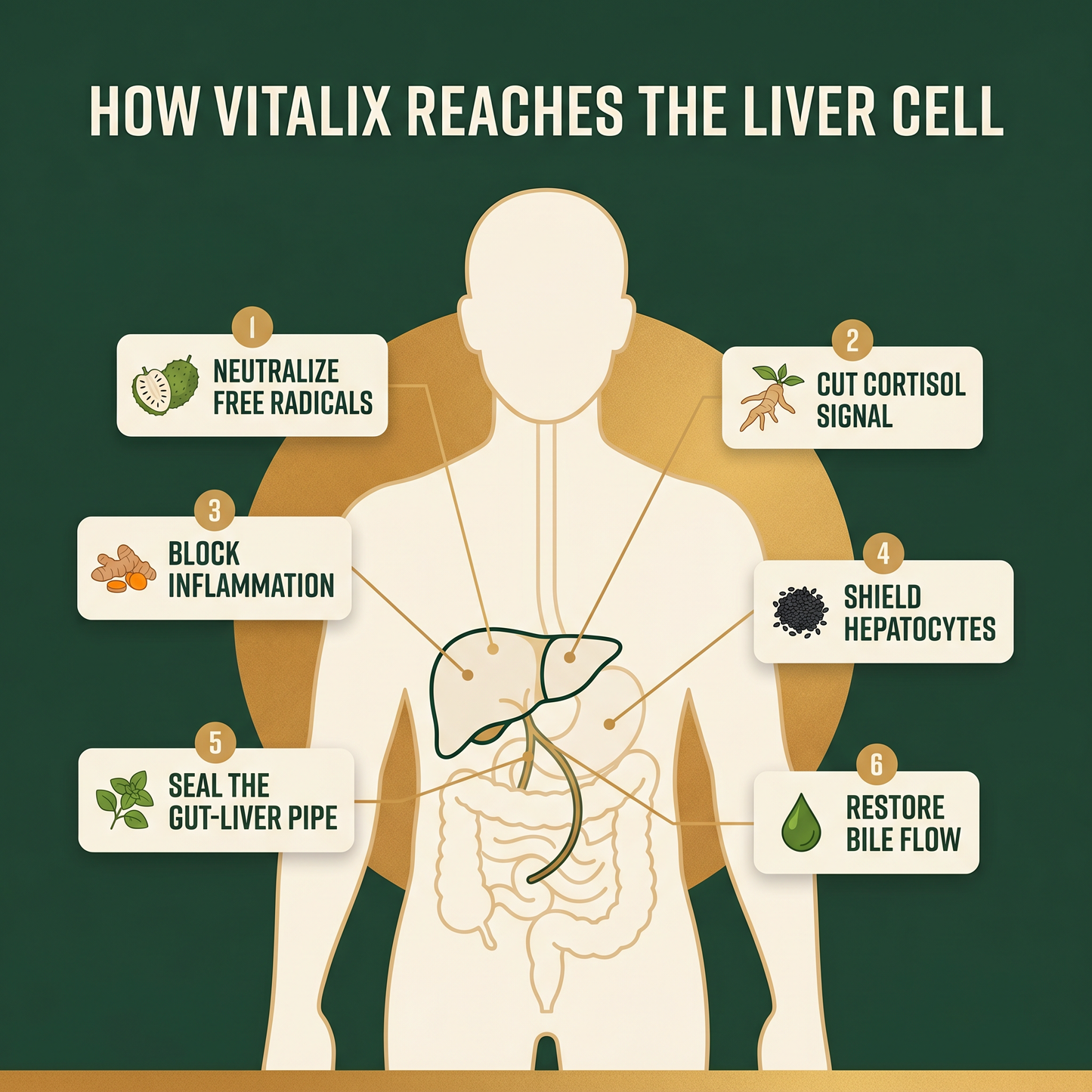 Vitalix - Soursop Liquid Complex -  Natural Herbal Detox For a Cleaner, Healthier Liver