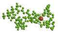 Liquid Chlorophyll