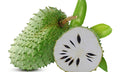 Soursop